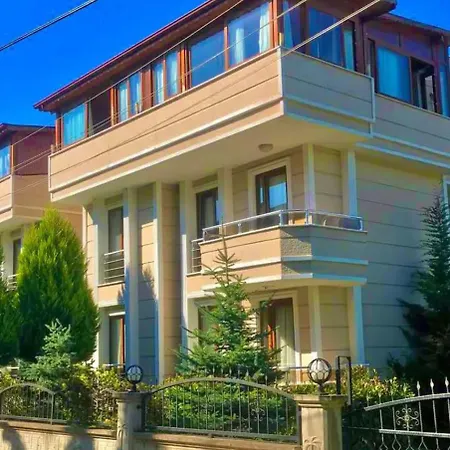 Halic *
