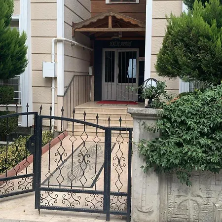 Halic